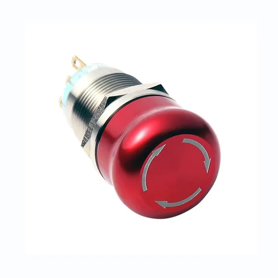 25mm Ledlight Momentary or Latching Explosion Proof Elevator Metal Push Button Switch