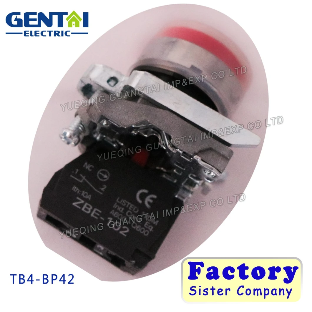 Tb4-Bp42 IP65 40mm Red Flat Head Push Button Switch
